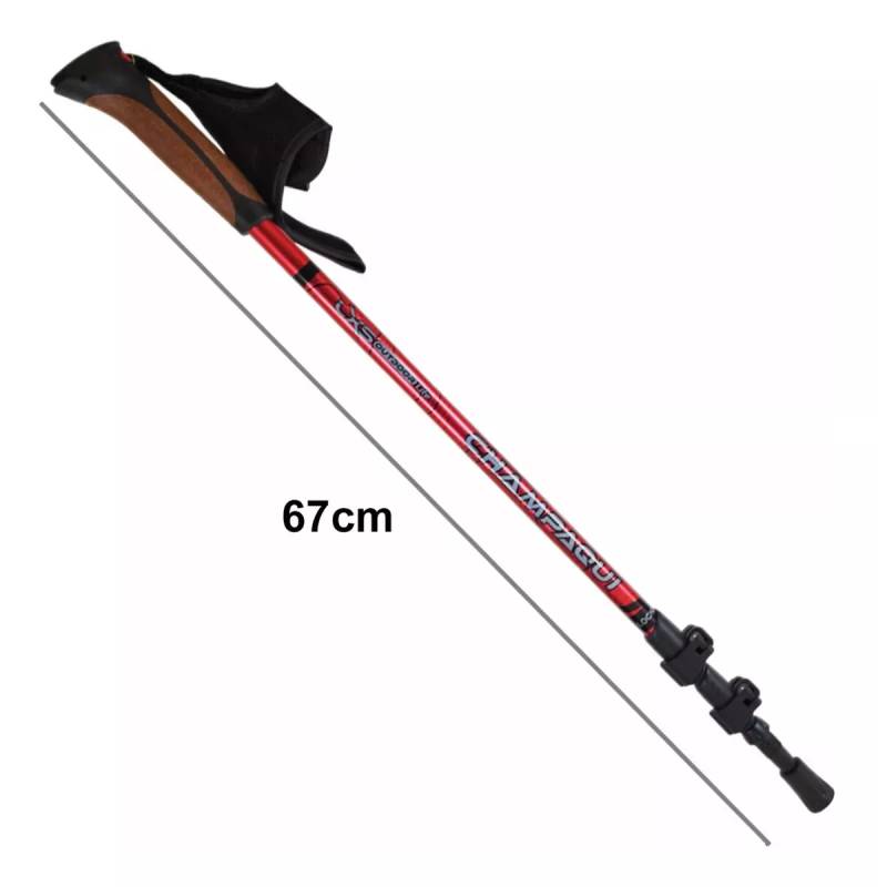 LEXUS – PAR BASTON TREKKING CHAMPAQUI